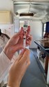 1600 doses da vacina contra a Influenza são aplicadas no sábado (26) 1600 doses da vacina contra a Influenza são aplicadas no sábado (26)