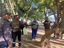 Curso de poda orienta população sobre boas práticas na arborização urbana Curso de poda orienta população sobre boas práticas na arborização urbana