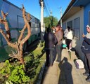 Mais de 500 animais já foram castrados gratuitamente pela Prefeitura de Bagé Mais de 500 animais já foram castrados gratuitamente pela Prefeitura de Bagé