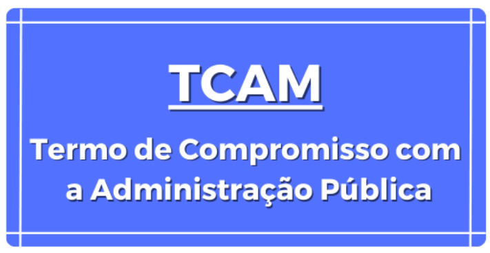 TCAM.png