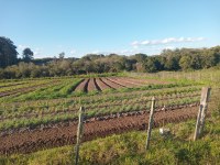 Patrulha Agrícola realizou 341 atendimentos a pequenos produtores