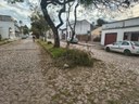 Semapa reforça ações preventivas de poda em diversos bairros de Bagé
