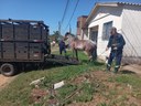 Agentes de Fiscalização de Trânsito recolhem dois cavalos soltos no bairro São Judas Tadeu