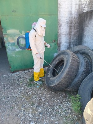 Bagé não tem nenhum caso confirmado de dengue