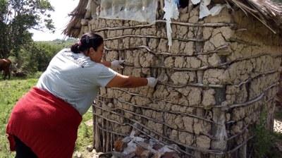 Bagé retoma serviço de PITs no combate à Doença de Chagas