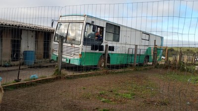 Castramóvel realiza atendimentos no Centro de Atenção aos Animais de Rua