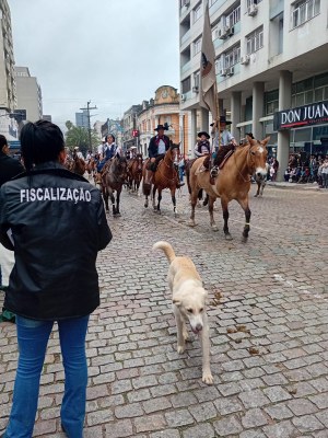 Cbea participa do Desfile Farroupilha com ação de orientação e fiscalização de maus-tratos