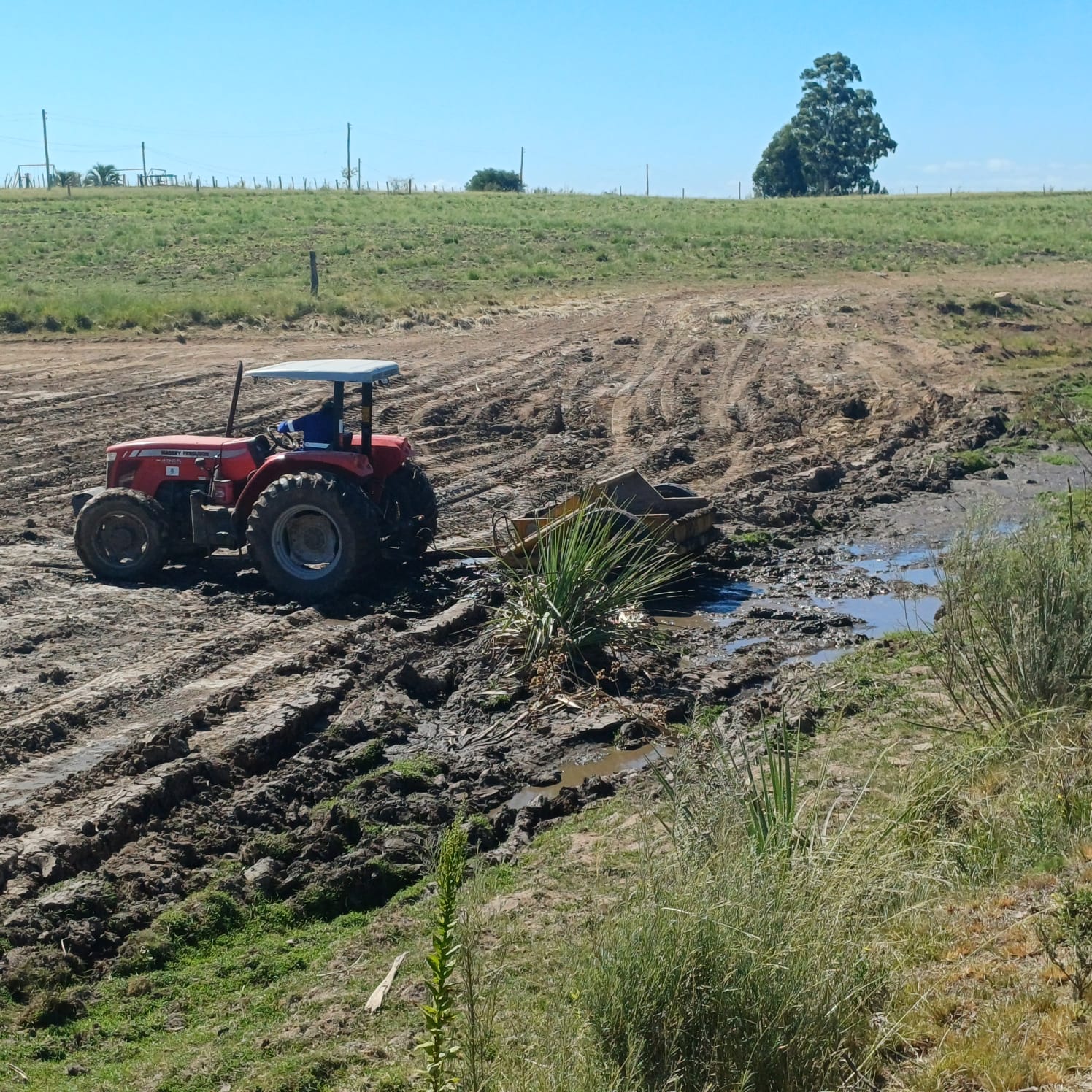 Foto: Alex Sandro de Oliveira