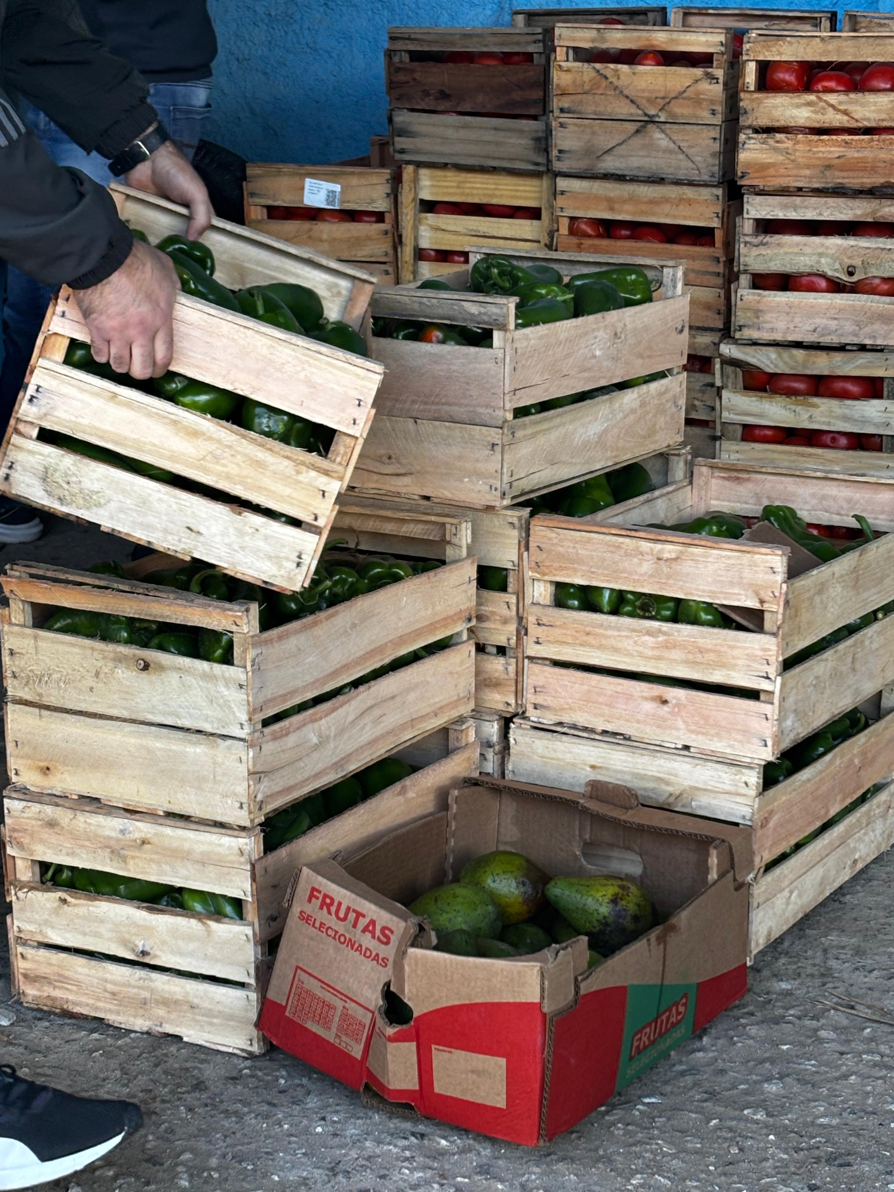 Foto: Cristiano Magrini