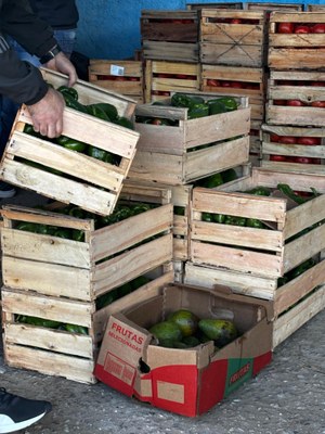 Escolas da rede municipal recebem doação de 4,5 toneladas de hortifrutis