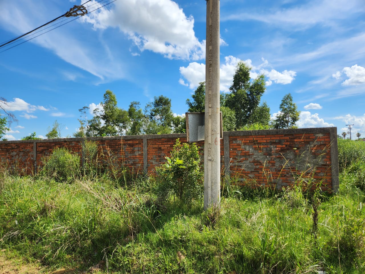 Foto: Fernando Risch