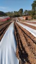 Patrulha Agrícola garante assistência para cerca de 200 produtores da agricultura familiar Patrulha Agrícola garante assistência para cerca de 200 produtores da agricultura familiar