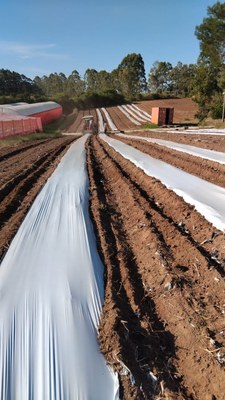 Patrulha Agrícola garante assistência para cerca de 200 produtores da agricultura familiar