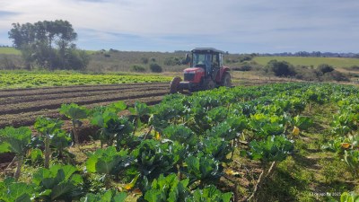 Patrulha Agrícola: parceria na geração de renda e produção de alimentos de qualidade