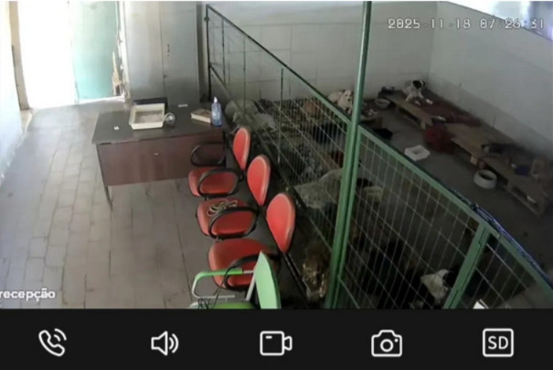 Foto: Divulgação/Cbea