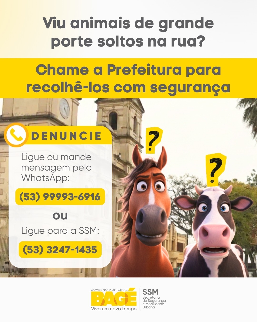 Prefeitura divulga contatos para denúncias de animais soltos em vias públicas