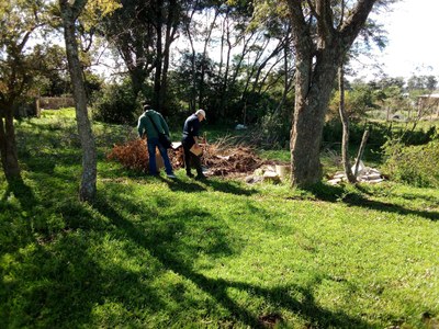 Prefeitura divulga levantamento de focos do Aedes aegypti e intensifica ações de combate ao mosquito