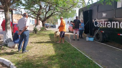 Prefeitura garante duas castrações diárias para encaminhamentos da Fiscalização de Maus-Tratos