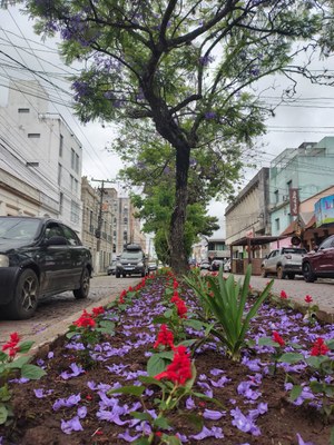 Prefeitura inicia execução do Projeto Eterna Primavera nos canteiros centrais de Bagé