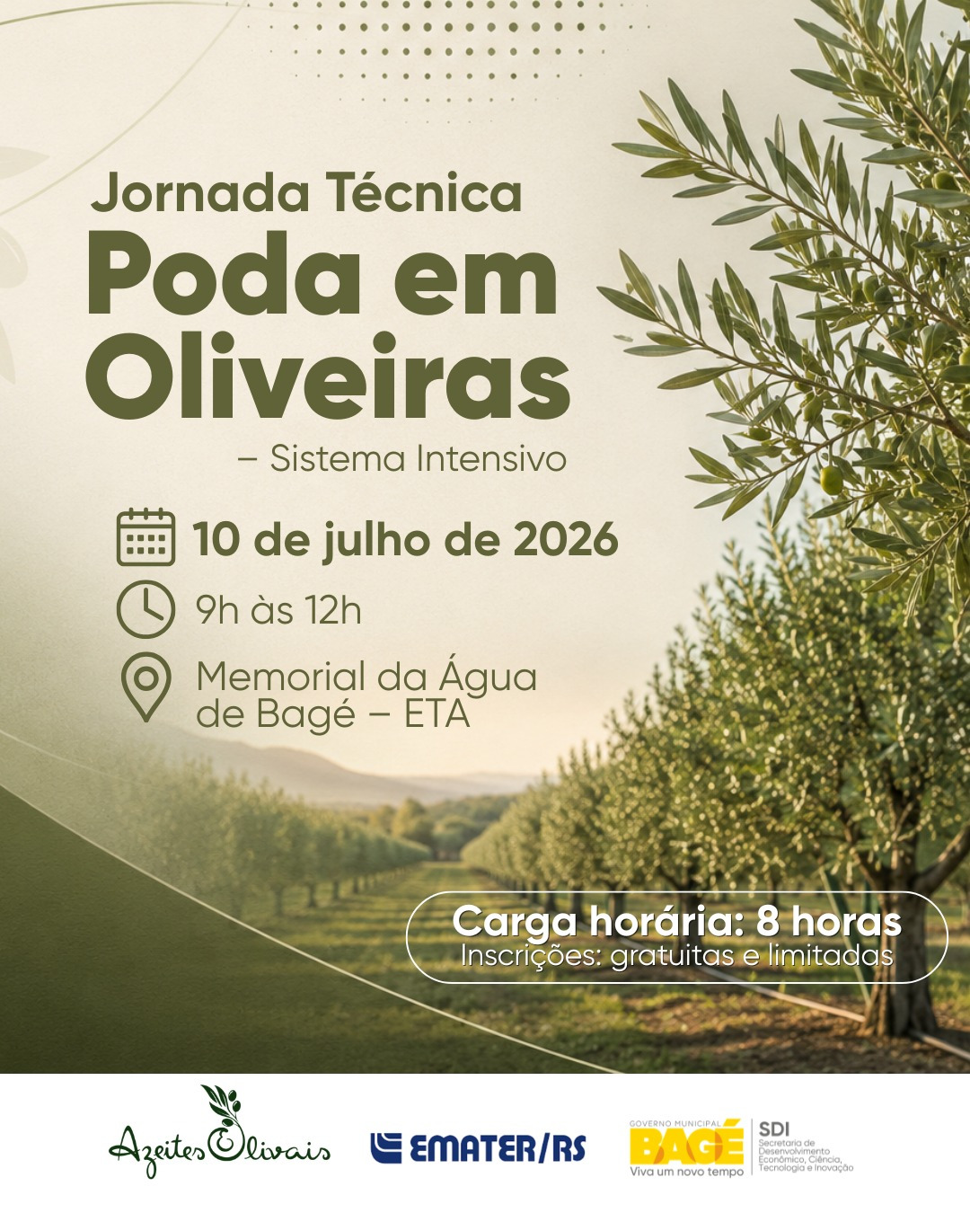 Prefeitura promove Jornada Técnica de Poda em Oliveiras com inscrições gratuitas