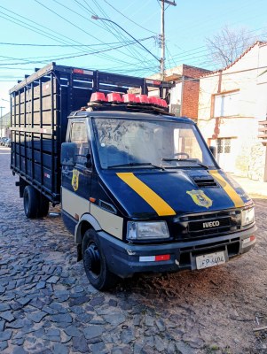 Prefeitura reforça segurança viária com retorno do caminhão de recolhimento de animais