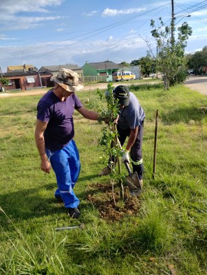 Semapa convida população para arborizar a cidade