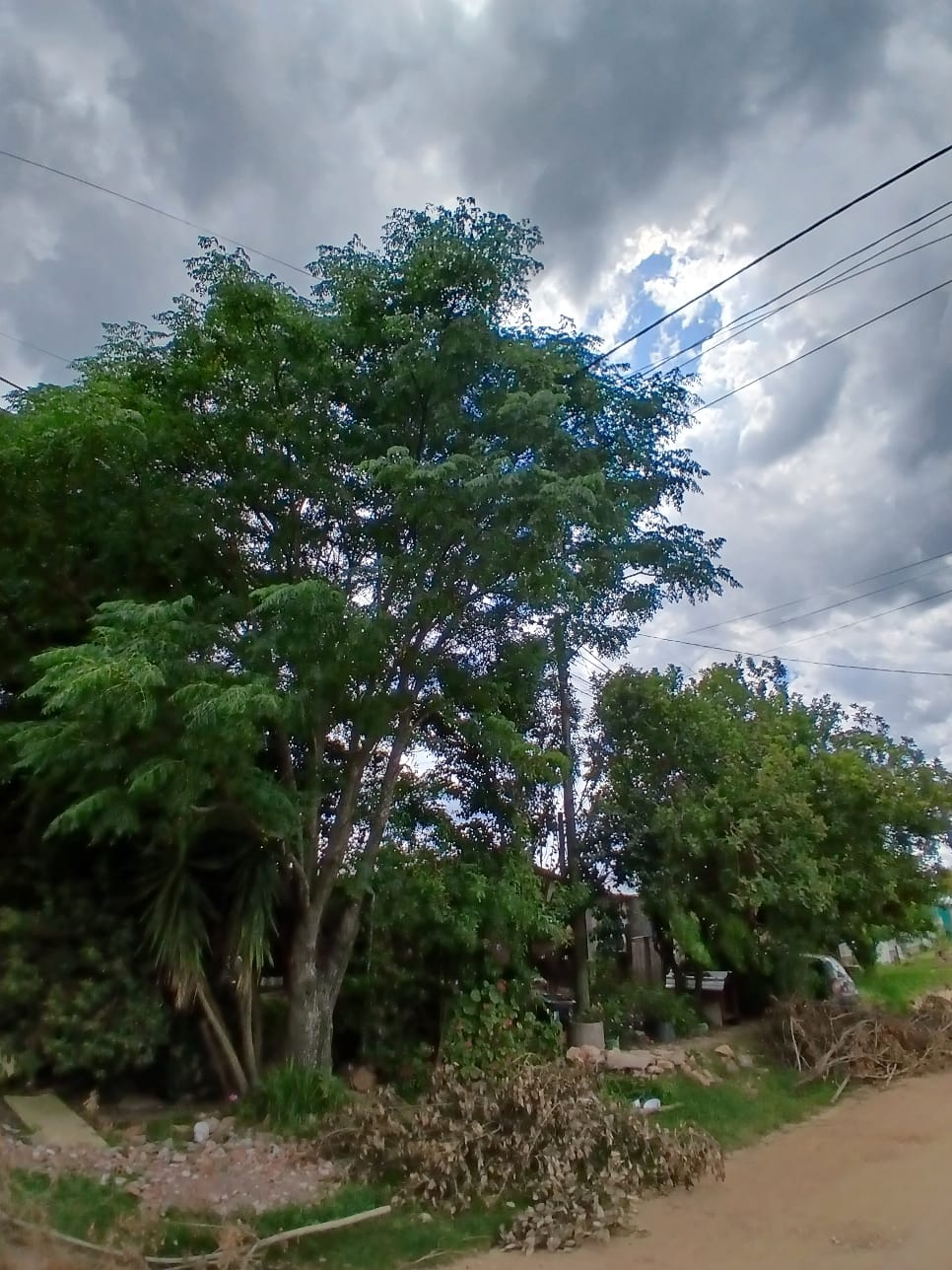 Foto: Divulgação/Semapa