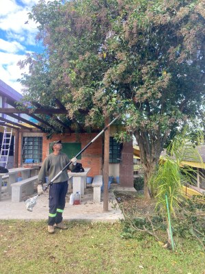Semapa realiza ação de arborização na Escola Luiz Mércio em comemoração aos 53 anos da instituição