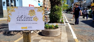 Semapa realiza plantio de flores em frente à Câmara de Vereadores e amplia ações do Projeto Eterna Primavera