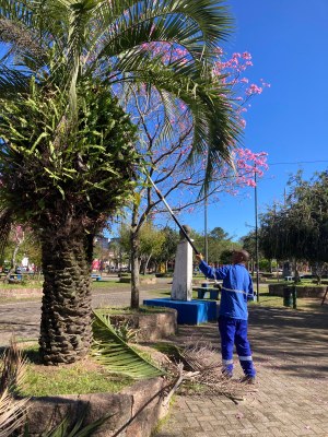 Semapa realiza poda de árvores na Praça de Esportes para a Feira do Livro