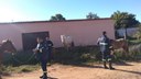 SSM atua para prevenir sinistros de trânsito envolvendo animais