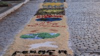 Vias no centro terão restrição de estacionamento e bloqueio temporário para procissão de Corpus Christi