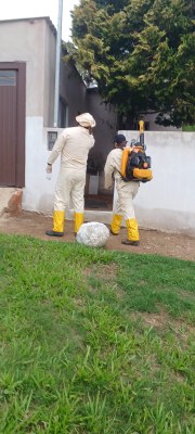 Vigilância em Saúde atua no combate ao mosquito Aedes aegypti