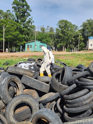 Vigilância em Saúde destaca ações em pontos identificados como positivos para o Aedes aegypti