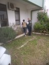 Vigilância em Saúde divulga resultados de ovitrampas para identificar ovos de Aedes aegypti