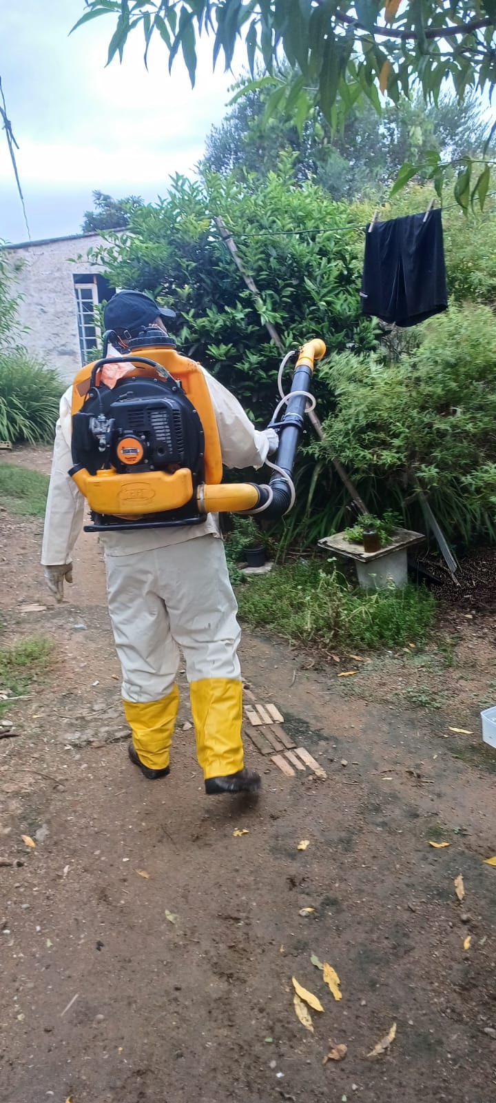 Foto: Arquivo Prefeitura de Bagé