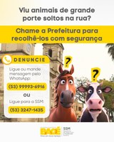 Prefeitura divulga contatos para denúncias de animais soltos em vias públicas